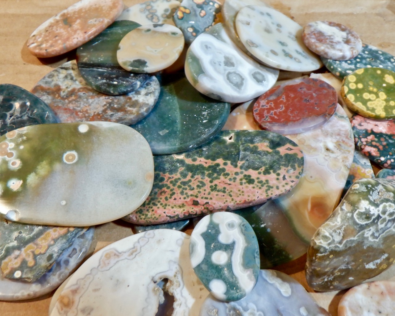 White Fossil Rocks Michigan UP Lake Superior Raw Natural Rocks and Stones  for Crafting Decorating and Display 