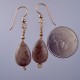 Teardrop Petoskey Stone Earrings