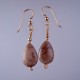 Teardrop Petoskey Stone Earrings