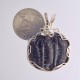 Cuddler Trilobites Pendant