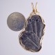 Love Birds Trilobite Pendant