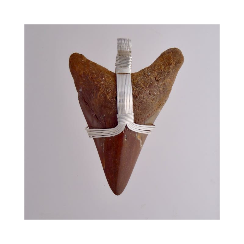 https://www.snobappealjewelry.com/store/3399-thickbox_default/deep-depth-megalodon-tooth-pendant.jpg