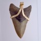 Big Boss Megalodon Tooth Pendant