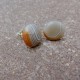 Lake Superior Agate Stud Earrings on Sterling