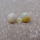 White Lake Superior Agate Stud Earrings