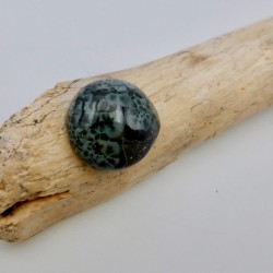 Michigan Greenstone cabochon