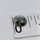 Greenstone with Pink inclusions