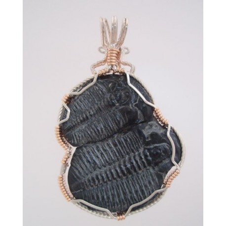 Trilobite Siblings Pendant